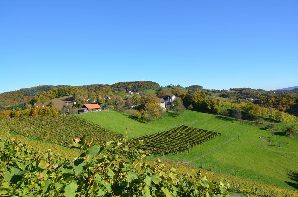 Kroell-Hube Villa Sankt Johann im Saggautal Buitenkant foto