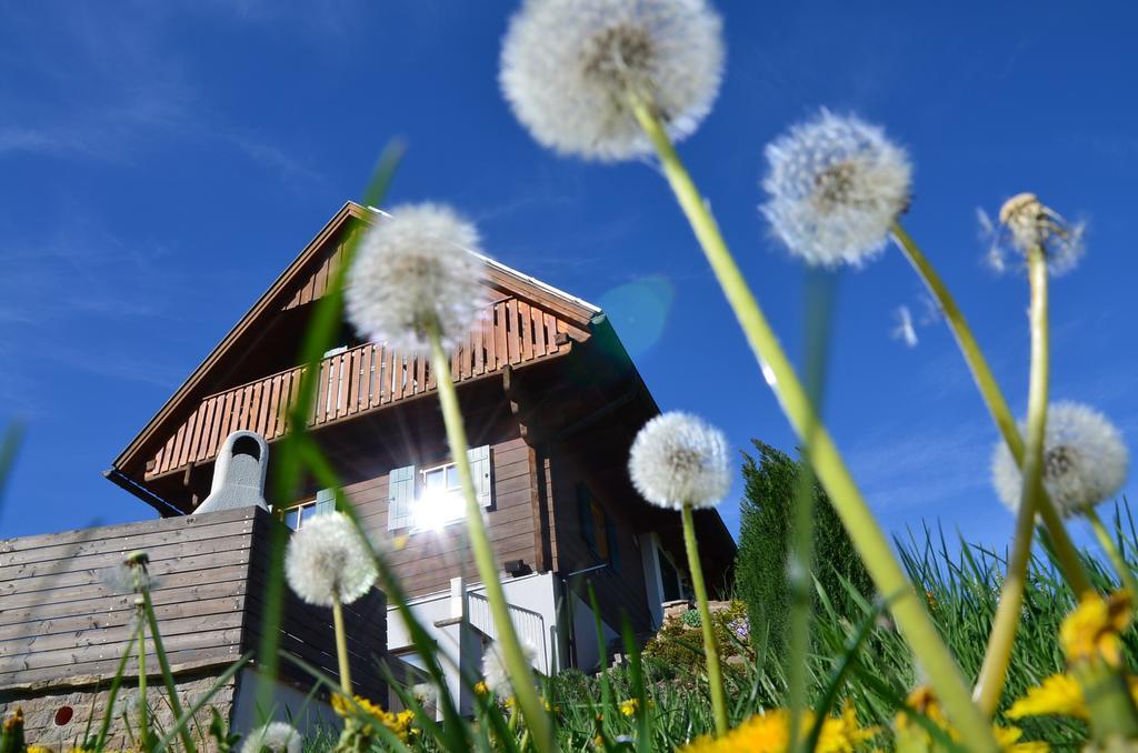 Kroell-Hube Villa Sankt Johann im Saggautal Buitenkant foto