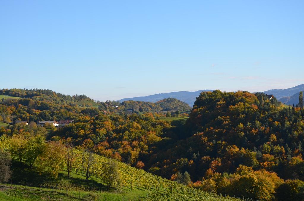 Kroell-Hube Villa Sankt Johann im Saggautal Buitenkant foto